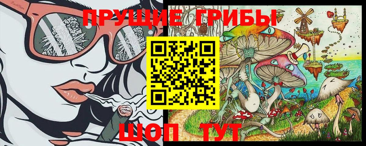 Псилоцибиновые грибы Psilocybe Тавда